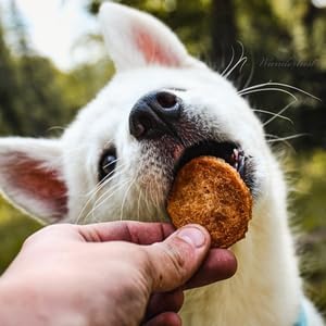 Farm To Pet - Dog Training Treats - Chicken Chips, Single Ingredient - 4 oz, Lean, All Natural, Healthy Dog Treats for Small, Medium, Large Breeds, & Puppies, Made in USA