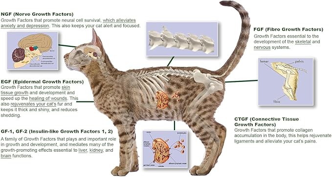 Feline Peptides, Peptides for Cats, Life Extending Cat Supplement, Immune Supplement, Joint Supplement, Skin and Coat Supplement for Cats, 60 Tablets