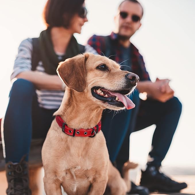 Fida Heavy Duty Dog Collar, Ultra Comfortable Soft Neoprene Padded, Adjustable Reflective Nylon Pet Collar with Durable Metal Belt Buckle for Small Breeds (S, Red)