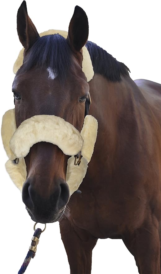 ECP Equine Comfort Products Merino Sheepskin Halter Fleece Set for Horses, 100% Natural Wool, Chafe Protection, Breathable Relief & Cushioned Comfort, Machine Washable, 9-Piece Set, Cream