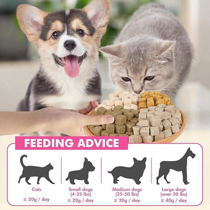 Freeze Dried Cats & Dogs Raw Treats, All Natural Single Ingredient Chicken Breast, High Protein Healthy Pet Training Treats or Food Topper, 11.3 oz