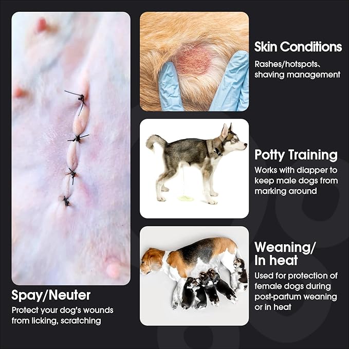 FUAMEY Dog Recovery Suit Male,Dogs Surgery Neuter Suits Puppy Spay Shirts for Female Protect Dog's Skin Anti Licking Abdominal Wounds Doggie Onesie Pet Bodysuit Alternative to Cone Orange XXL