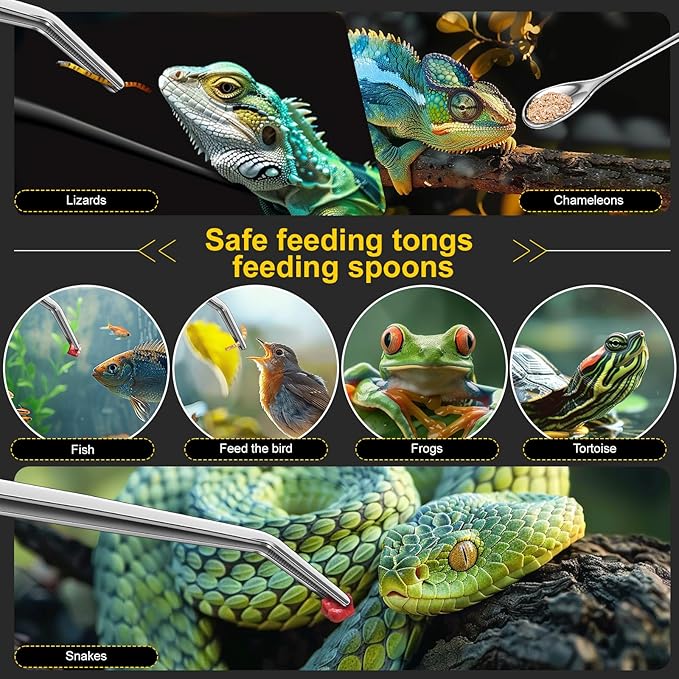 2pcs Reptile Feeding Tongs, Feeding Spoon, Stainless Steel Aquarium Feeding Tools, Curved Long Tweezers 10.6 in, Long Spoon 10 in (Coffee Spoon) for Feeding Lizards, Bearded Dragons and More.