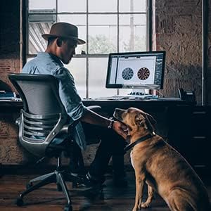 Flea and Tick Collar for Small Dog, Made with Natural Plant Based Essential Oil, Safe and Waterproof, Free Comb and Prevention Treatment Drop, 2x6 Month, 13.8 in (2 Packs)