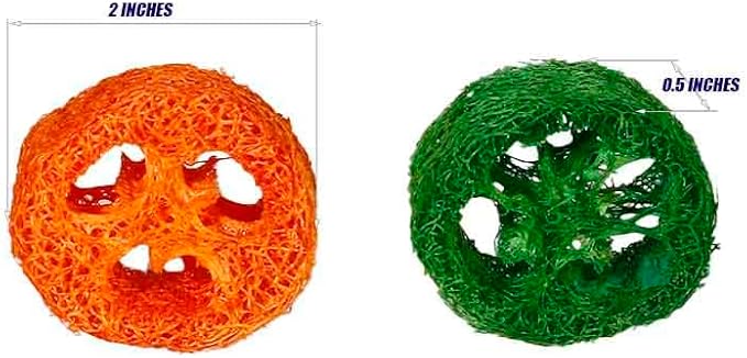 15 Pcs Fruit Flavored Loofah Slices Rabbit Chew Toys Guinea Pig Chew Toys Small Pet Chews Bunny Toys for Teeth Rabbit Toys