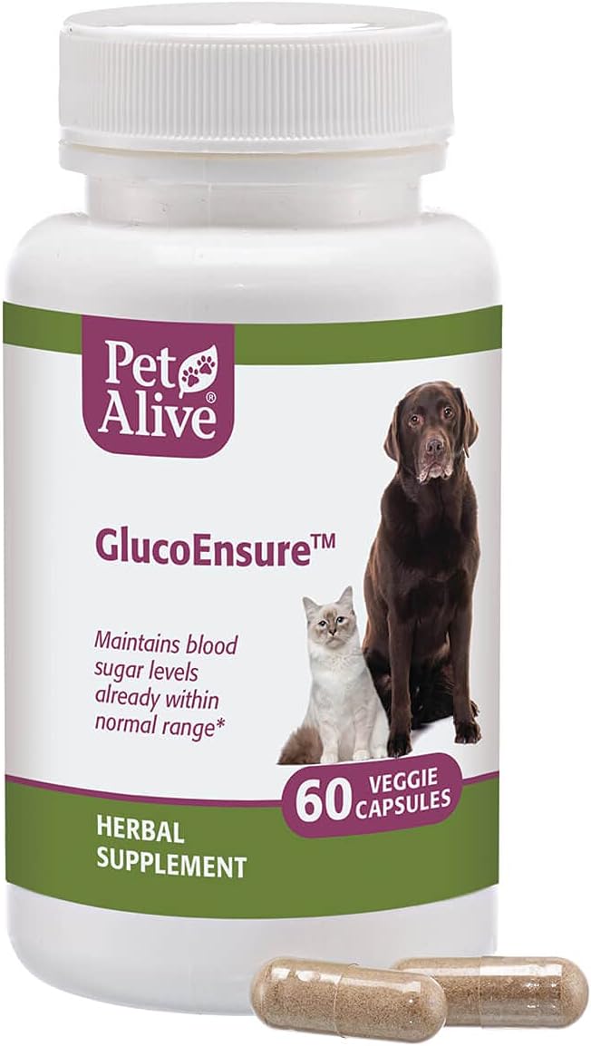 PetAlive GlucoEnsure - All Natural Herbal Supplement for Maintaining Blood Sugar (Glucose) Levels Already in The Normal Range in Pets