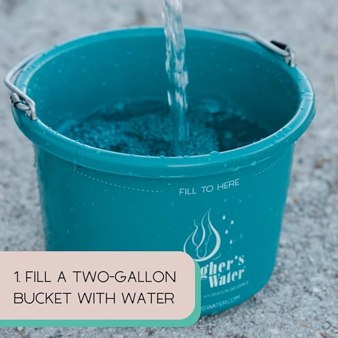 GALLAGHER'S WATER 2 Pack All-Natural Equine Hydration Treat - Enhancement Powder Mix Horse Drink Treat to Help Encourage to Drink Water - Made with All Natural Ingredients, FEI Compliant