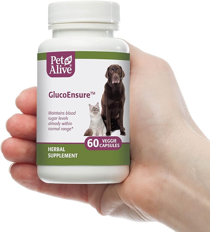 PetAlive GlucoEnsure - All Natural Herbal Supplement for Maintaining Blood Sugar (Glucose) Levels Already in The Normal Range in Pets