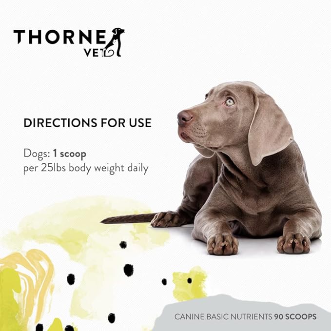 ThorneVet Canine Basic Nutrients Powder – Multivitamin Support for Dogs, 90 Scoops
