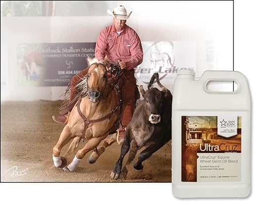 UltraCruz® Equine Wheat Germ Oil Blend, 1 Gallon