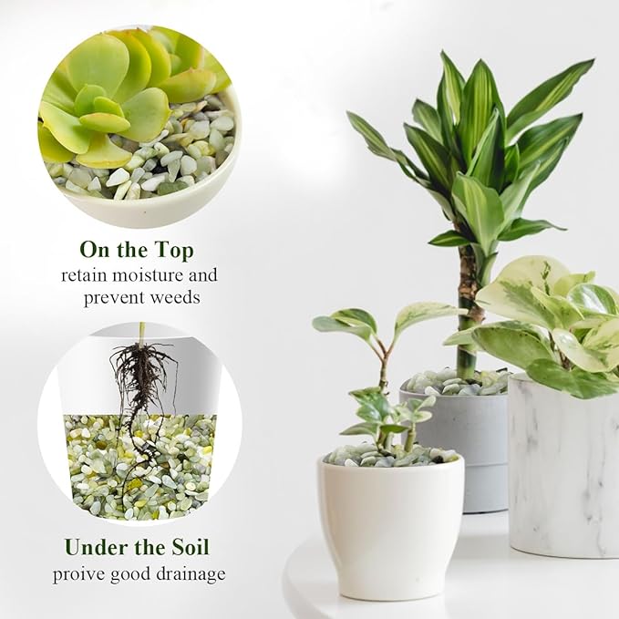 2 lbs Jade Rocks for Plants Indoor, 1/4 inch Small Pebbles for Plants, Decorative Rocks for Succulents Cactus Vases Landscaping Drainage and Outdoor Garden Rocks