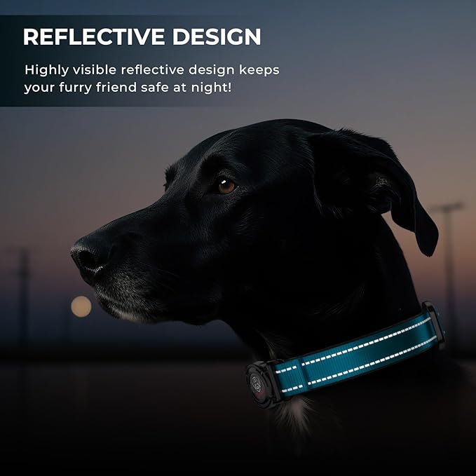 2025 Upgrade Airtag Dog Collar, Reflective Dog Collar with Airtag Holder, IP68 Waterproof| Metal Buckle| Ultra-Durable| Comfortable Padded, GPS Dog Collars for Medium Large Dogs (Blue,XL)
