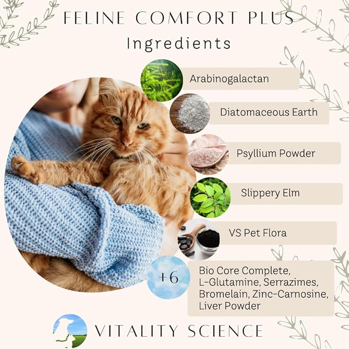 Feline Comfort Plus, Extra Drying Digestive Aid, GI Support Helps with Vomiting and Diarrhea, 100% Additive Free (Liver, Large)