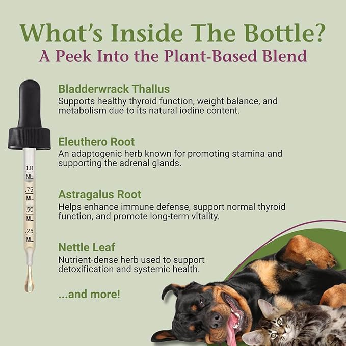 PetAlive Thyro-Pet – Herbal Thyroid Support Supplement for Dogs & Cats - Liquid Formula with Bladderwrack, Nettle, and Astragalus - Plant-Based Daily Drops for Healthy Thyroid Function – 2 oz Tincture