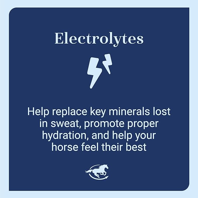 SmartLytes Horse Electrolyte Powder Supplement | Encourages Hydration, Replenishes Electrolytes | No Added Sugar | Cherry Flavor | 56 Servings | 3.5 lb Bucket