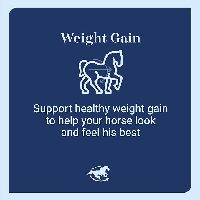 Smart & Simple 99% Fat | Horse Weight Gain Supplement Supports Ideal Body Condition in Horses | Easy to Use & Tasty High Fat Supplement Powder | 112 Servings | 14 lb Bag