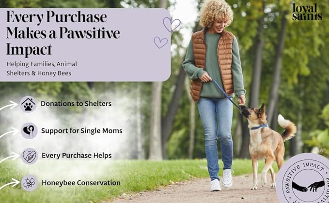 Freeze Dried Raw Dog Food - Premium Chicken Flavor with High Protein & Grain Free Dog Food for Small or Large Breeds and Picky Eaters - Versatile as Meal Topper, Pet Snack & Treats, 5 Oz