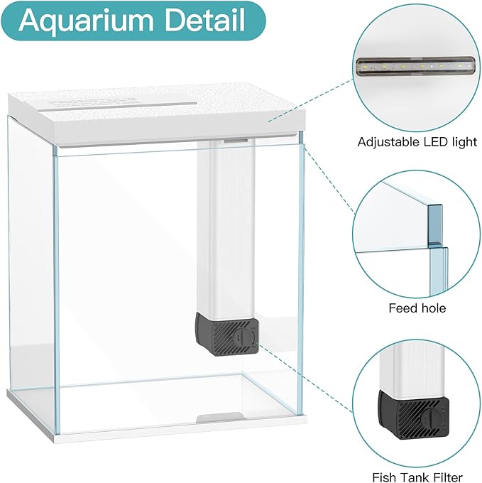 2 Gallon Glass Betta Fish Tank with Heater Filter and Light, Self-Cleaning Small Fish Tank Starter Kits.