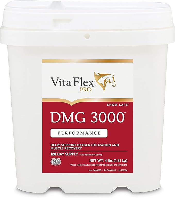 Pro DMG 3000 Horse DMG Concentrate, 4 Pounds, 128-Day Supply