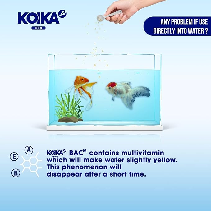 KOIKA BACM Natural Color Enhancement for Fish, Combination of Probiotic & Multi-Vitamins for Aquarium A, B6, B2, Pleasant Smell (BACM (New Formula), 30ml)
