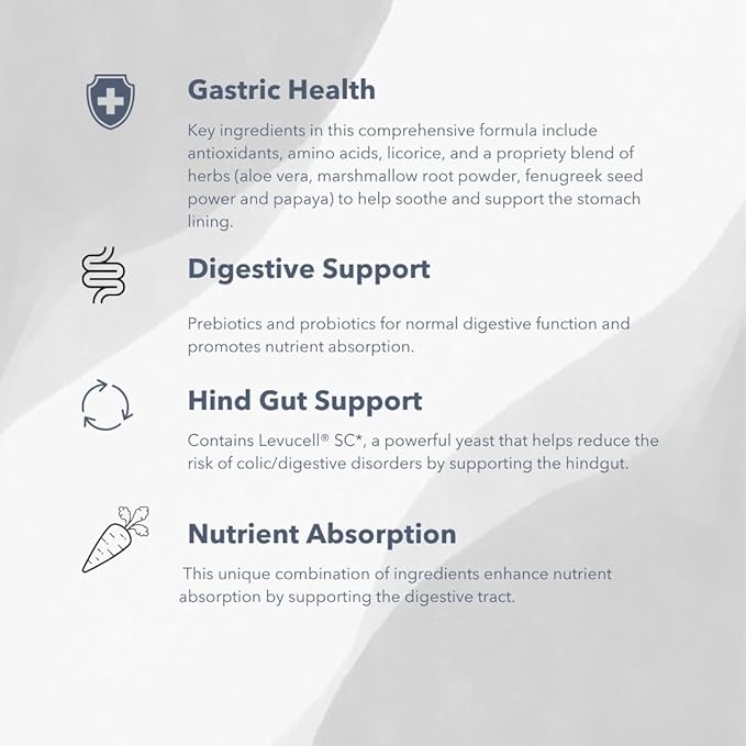 Gastro-Plex (6 lb) Supports Gut Health and Hindgut Digestion in Horses