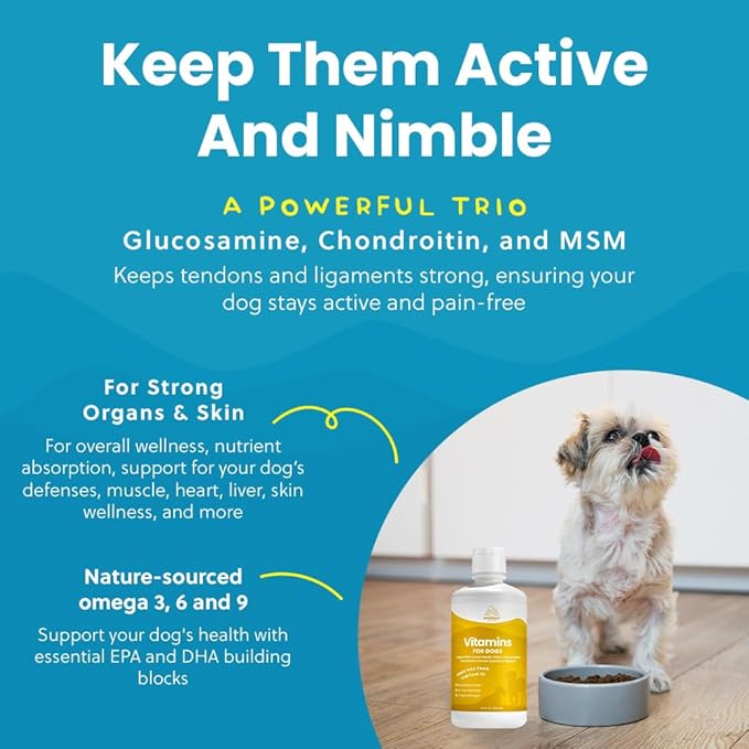Liquid Multivitamin for Dogs with Probiotics, 8 in 1 Vitamins for Immune Support, Energy & Digestion, High Absorption Liquid Dog Supplement, Made in USA, 32 oz