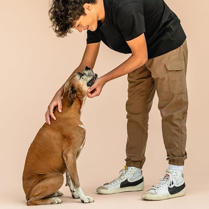 FUZI Premium Aesthetic Dog Bed for Medium Dogs with Washable Cover, Pet Couch, Pet Bed with Sides, Non-Slip Bottom, Soft and Durable Calming Dog Bed, Faux Rabbit Fur, Medium 31.75x23.6x9.5 Dark Grey