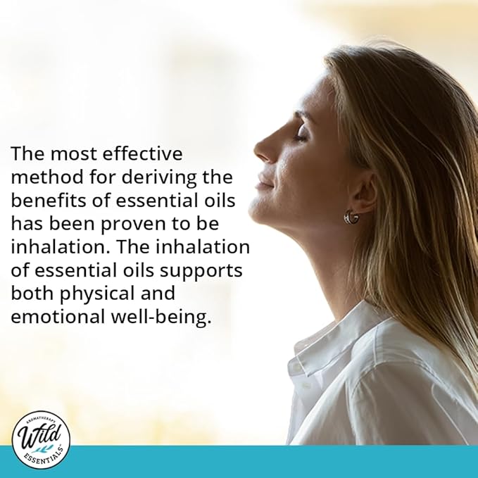 Wild Essentials 3 Pack of Appetite Craving Control Aromatherapy Nasal Inhalers Made with Therapeutic Grade Essential Oils to Help Keep The Hunger Cravings Away