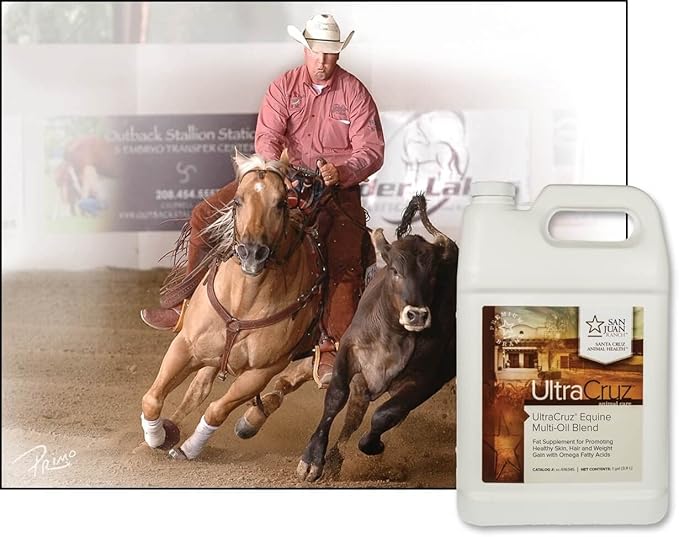 UltraCruz® Equine Multi-Oil Blend, 4 x 1 gal