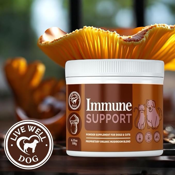Immune Support Powder Food Topper, Large 6.35oz, Proprietary Organic Mushroom Blend, 300g