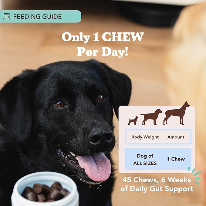 Natural Dog Company Gut Health & Probiotic Chews for Dogs (45 Ct), Prebiotics, Digestive Enzymes & Canine Specific Probiotics for Digestion, Gas, Loose Stool & Immune System Support, 1 Chew Daily