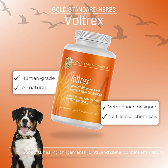 Voltrex Ligament and Spinal Cord Inflammation Relief for Dogs by Gold Standard Herbs, All Natural Bupleurum and Cinnamon Twig Powder, 250 Grams