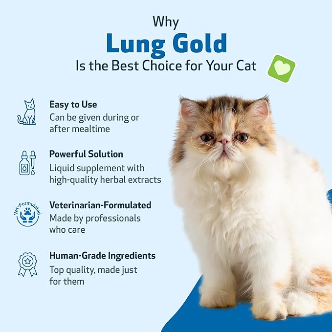 Pet Wellbeing Lung Gold for Cats - Lung Immune Support, Lower Respiratory Health, Open Airways, Normal Breathing, Reishi, Coptis - Veterinarian-Formulated Herbal Supplement - 2 oz (59 ml)