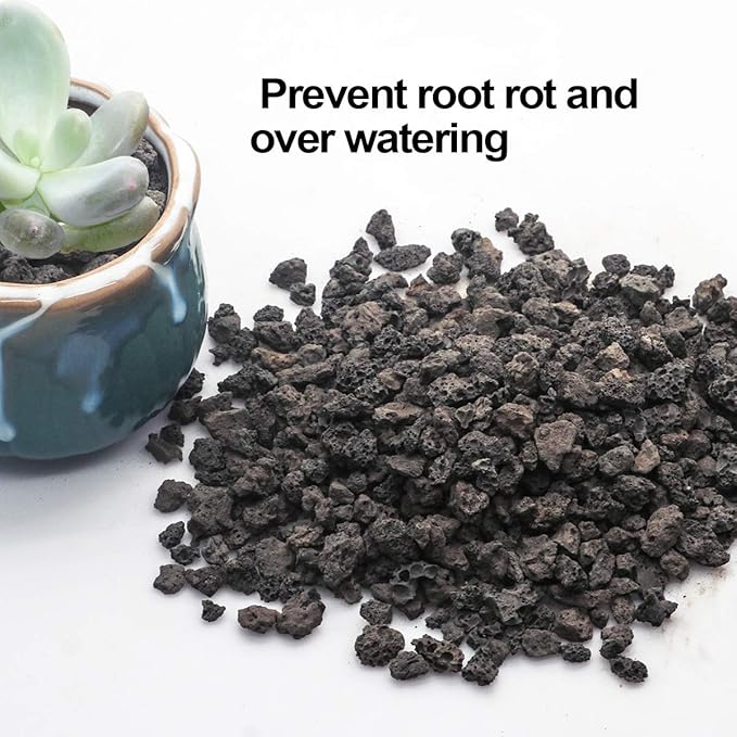 TOYPOPOR 6lb Black Lava Rock for Plants, Natural Horticultural Volcanic Grit, Cactus Succulents Bonsai Stones, Crushed Potting Gravel for Drainage Planter, Terrarium Decor, Gardening Soil Additive