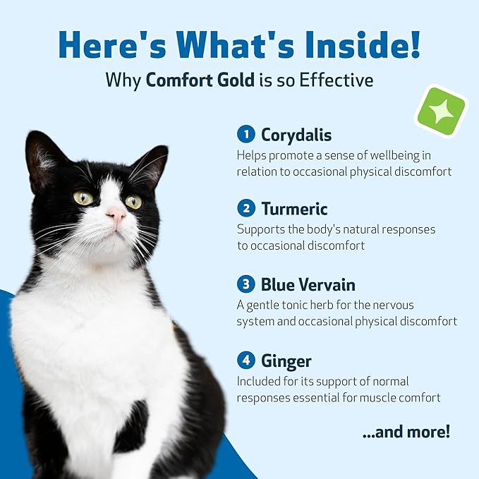 Pet Wellbeing Comfort Gold for Cats - Supports Feline Physical Comfort, Healthy Circulation, Corydalis, Turmeric - Veterinarian-Formulated Herbal Supplement 2 oz (59 ml)