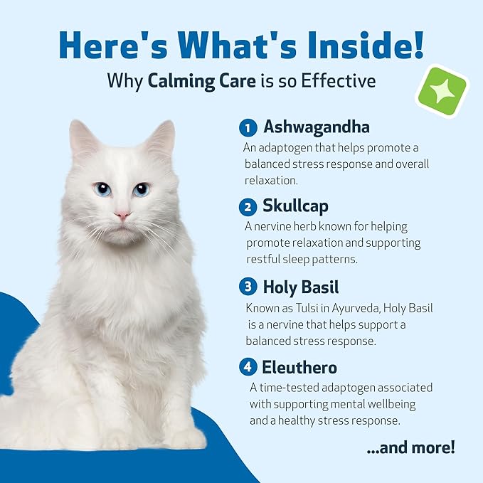 Pet Wellbeing Calming Care for Cats - Veterinarian-Formulated - Calm Support, Relaxed Nervous System, Emotional Balance, Adaptogens - Herbal Supplement 4 oz (118 ml)