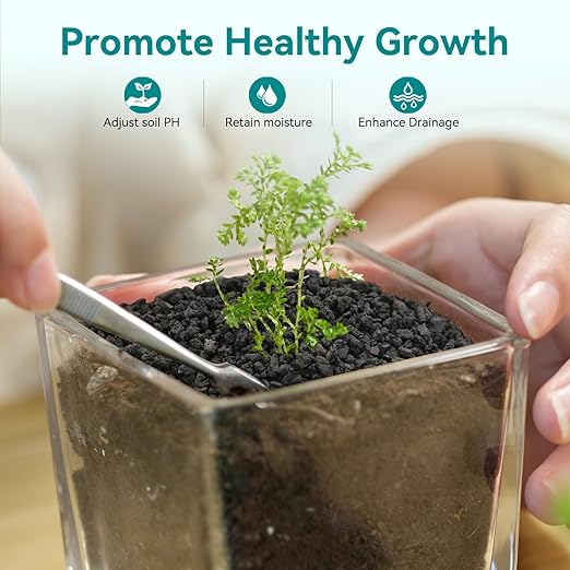 2.5lbs Small Lava Rocks for Plants Drainage, 1/5 Inch Black Gravel Mulch for House Plants, Succulent Rocks Pebbles for Planters,Cactus, Bonsai Tree, Pure Volcanic Rocks, Top-Dressing