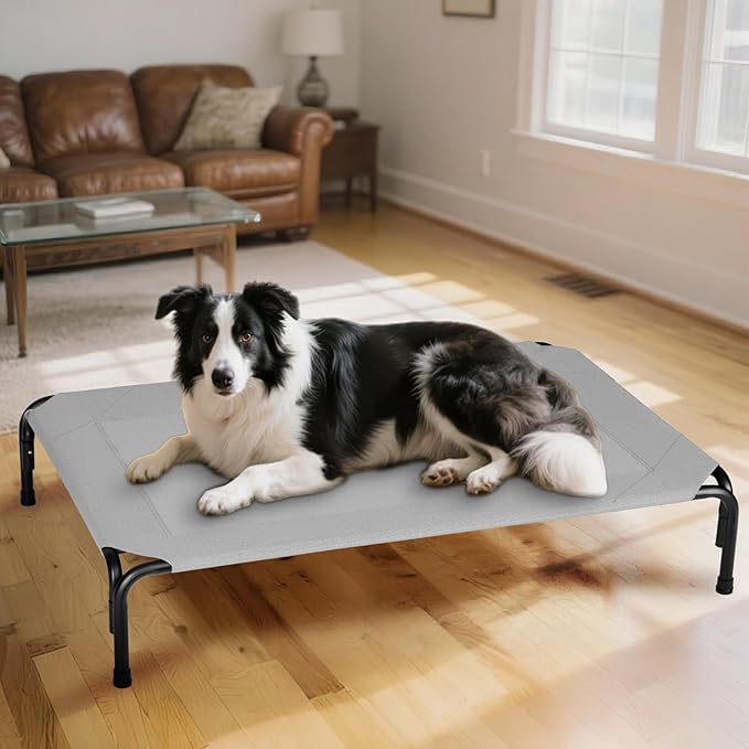 Elevated Dog Bed for Outdoor, XL Raised Dog Cot with Washable Mesh, Cooling Pet Cot Chew Proof for Outside Camping, 47 inch Grey