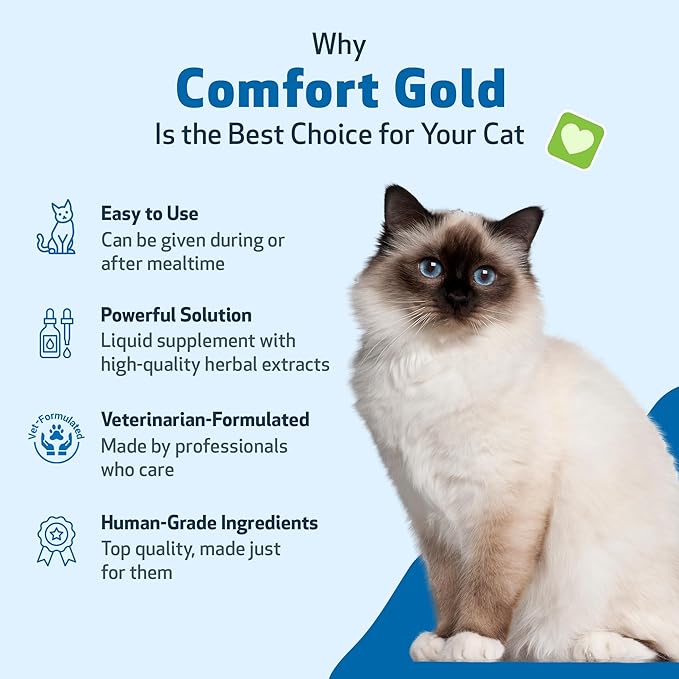 Pet Wellbeing Comfort Gold for Cats - Supports Feline Physical Comfort, Healthy Circulation, Corydalis, Turmeric - Veterinarian-Formulated Herbal Supplement 2 oz (59 ml)