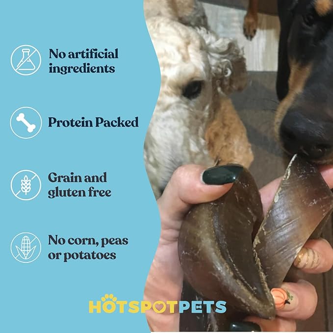 Full-Size Cow Hooves for Dogs | (5 Pack) All-Natural Long Lasting Dog Chews | Made from Grass Fed Cattle | Tasty Treat for Oral Hygiene | Fantastic Alternative for Rawhide and Bully Sticks