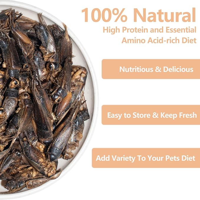 Freeze Dried Crickets – 4.5 Oz High Protein Freeze Dried Crickets, Food for Reptiles, Bearded Dragons, Lizards, Geckos, Birds, Fish,Hedgehogs, Bearded Dragon Food