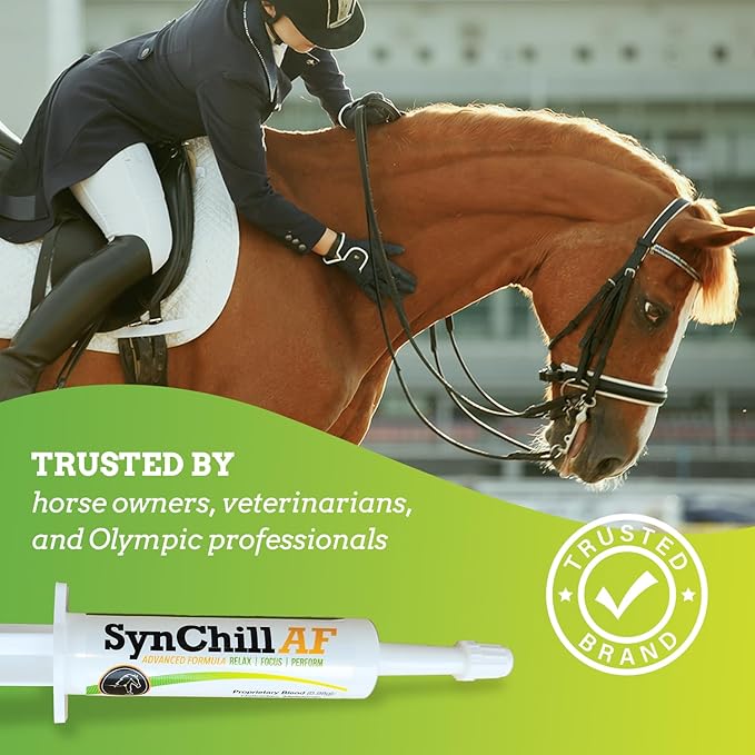 SynChill AF Calming Gel for Nervous Horses - Single Serving - Advanced Formula with L-Theanine, Increased Potency, 100% Natural Supplement, Disposition & Confidence Support for Horses