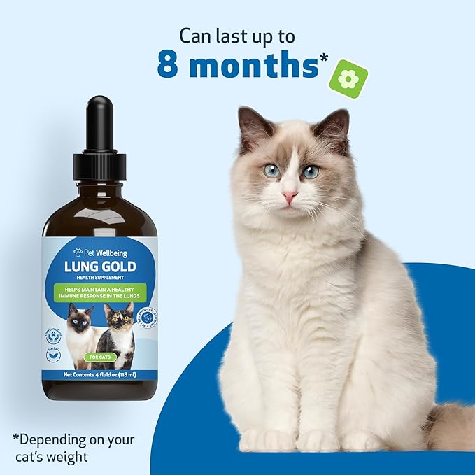 Pet Wellbeing Lung Gold for Cats - Lung Immune Support, Lower Respiratory Health, Open Airways, Normal Breathing, Reishi, Coptis - Veterinarian-Formulated Herbal Supplement - 4 oz (118 ml)