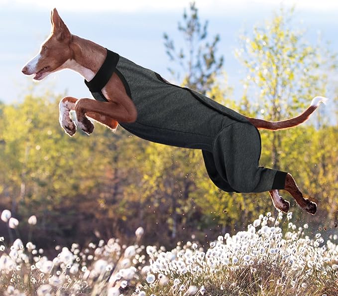 ROZKITCH Dog Surgery Leg Sleeve Rear Legs, Male Female Pet Prevent Licking Wound Elbow Knee Protector, Dog Recovery Suit Cone Collar Alternative Pants Shirt for Wound Heal Wrap Grey XL