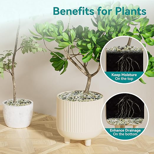 2.5 lbs Jade Pebbles for Indoor Plants, 3/8" Plant Rocks for Pots Indoor, Decorative Small Stones for Plants, Bamboo,Vase, Succulent, Highly Polished Small River Rocks