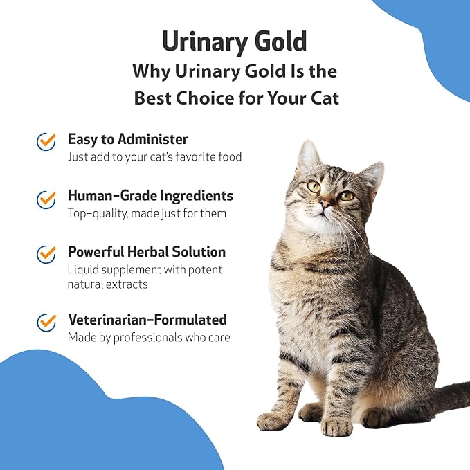 Pet Wellbeing Urinary Gold for Cats - Supports Urinary Tract Health, Normal Frequency, Healthy Immune Response, Stoneroot, Hydrangea - Veterinarian-Formulated Herbal Supplement 2 oz (59 ml)