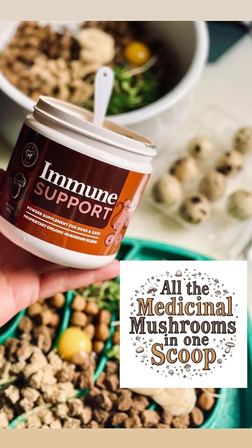 Immune Support Powder Food Topper, Large 6.35oz, Proprietary Organic Mushroom Blend, 300g