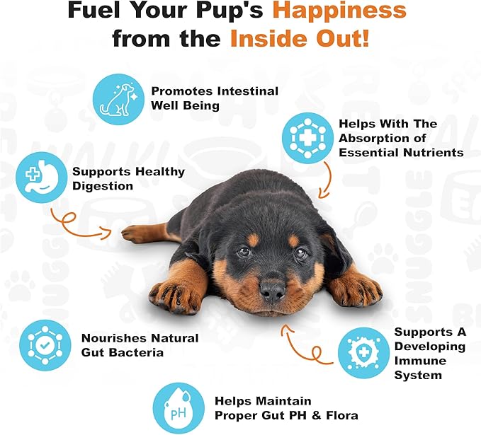 Doggie Dailies Puppy Probiotic, Probiotics for Puppies with Digestive Enzymes, Promotes Digestive Health, Supports Immune System & Overall Development (Pumpkin) 120 Soft Chews