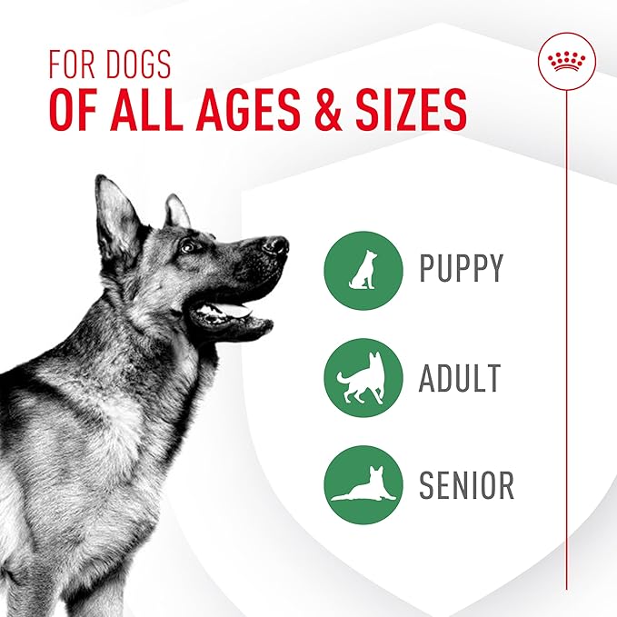 Royal Canin Probiotics for Dogs Digestive and Immune Health Powder Supplement for Canines of All Ages, 30 Count