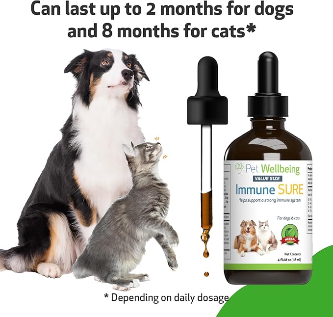 Pet Wellbeing Immune Sure for Dogs - Supports Normal Immune Defenses, Gut Flora Balance, Andrographis, Echinacea, Vitamin C, Zinc - Veterinarian-Formulated Herbal Supplement 4 oz (118 ml)